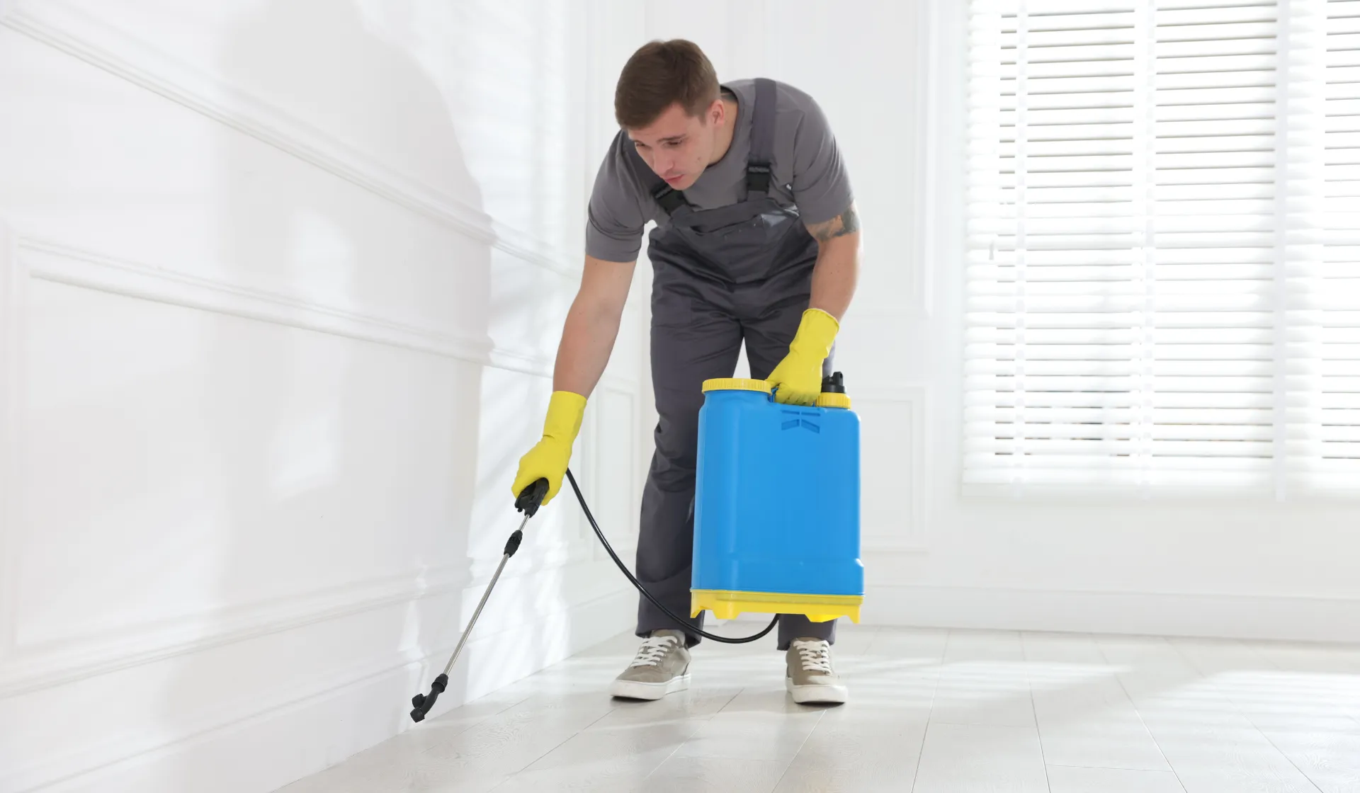 PPC management for pest control companies specializing in Google Ads and paid advertising